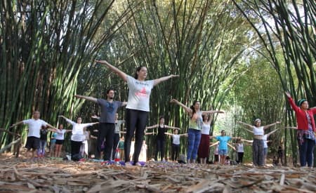 “Viver o Viveiro” tem aula de Yoga, trilhas e oficina neste domingo (29)