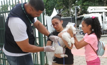Neste sábado (22), Prefeitura de Jacareí realiza vacinação antirrábica para cães e gatos, no Parque Meia-Lua