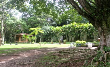 Abertas as inscrições para nova turma de “Formação de Agente em Educação Ambiental”, em Jacareí