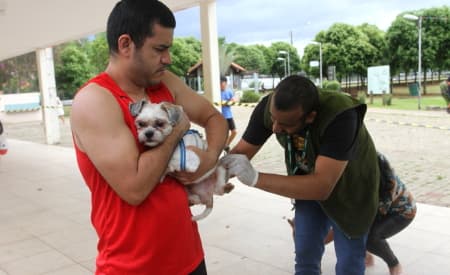 Prefeitura de Jacareí realiza vacinação antirrábica para cães e gatos no Jardim Esperança, no sábado (20), e Parque da Cidade, no domingo (21)