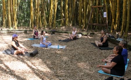 “Viver o Viveiro” terá atividades gratuitas neste domingo (10), com destaque para recepção da 4ª Caminhada do Dia da Mulher