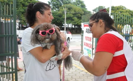 Atenção moradores da região do Jardim Esperança! Prefeitura de Jacareí realiza vacinação antirrábica para cães e gatos neste sábado (16)