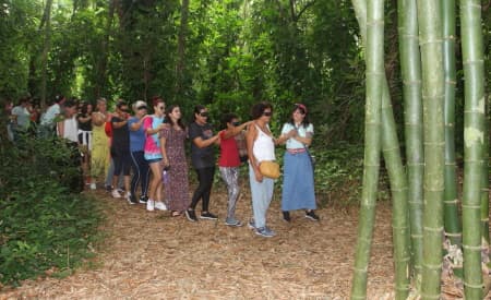 “Viver o Viveiro” terá 8 horas de atividades gratuitas neste domingo (17), incluindo oficinas, trilhas e a apresentação teatral “A Gula, O Amor e a Esperteza”
