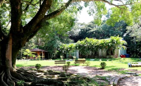 Oficina “Porta-retrato com elementos da natureza” e trilha guiada “Explorando o meio ambiente” são os destaques do “Viver o Viveiro”, neste domingo (9), em Jacareí