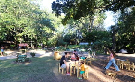‘Viver o Viveiro’: domingo tem programação com EcoAventura, jogos e troca de mudas