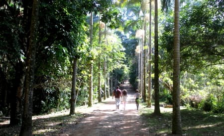 1ª Conferência Municipal de Meio Ambiente discute Emergência Climática em Jacareí