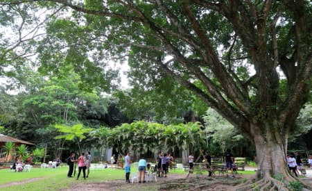 “Viver o Viveiro” tem oficinas com tintas ecológicas, carimbo reciclável, trilhas e outras atrações neste domingo (5)