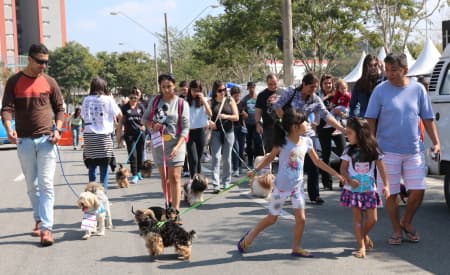 Secretaria de Esportes promove ‘Cãominhada’ no próximo domingo (16), na ETEC de Jacareí