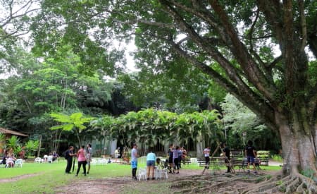 Oficina de Yoga é realizada no Viveiro todas as segundas-feiras