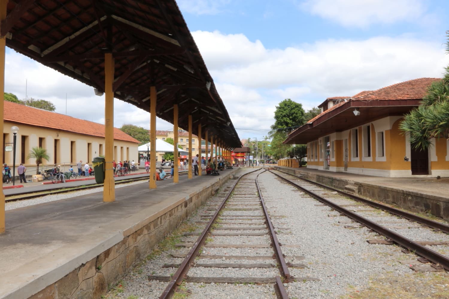 Prefeitura tem programação especial para celebrar Dia da Árvore no sábado (20)
