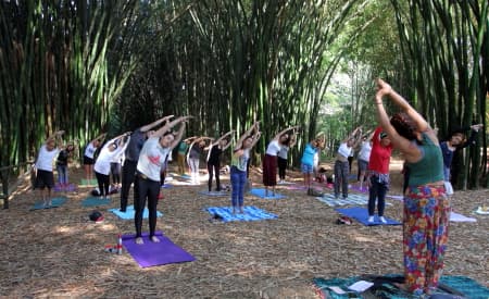 “Viver o Viveiro” tem aula de yoga, oficinas para minicientistas e outras atrações neste domingo (20)