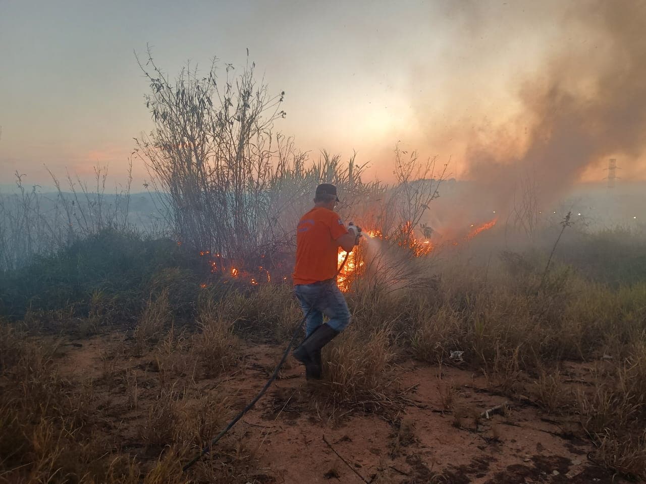 Incêndios combatidos pela Defesa Civil aumentam 550% em julho; órgão reforça pedido de conscientização