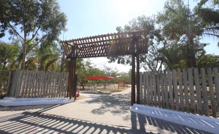 Parque dos Eucaliptos recebe serviços de manutenção e melhorias
