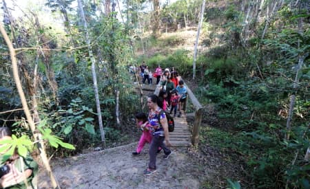 Semana da Primavera 2025 inicia nesta quinta-feira (18) com atrações para todos os públicos