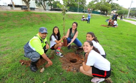 Plantio de mudas no Parque Cassununga celebra ‘Dia Mundial em Memória das Vítimas de Trânsito’, nesta quarta-feira (19)