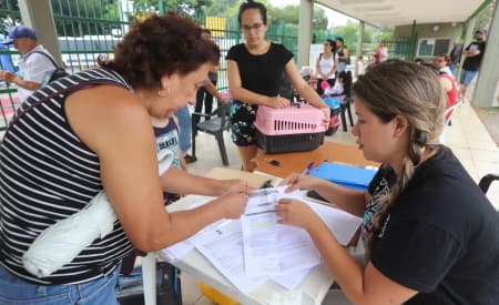 Mutirão realiza castração de cerca de 300 cães e gatos, em Jacareí