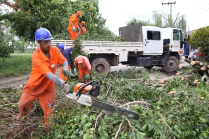 Prefeitura de Jacareí lança “manual” de podas de árvores para áreas públicas e particulares