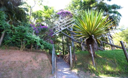 “Viver o Viveiro” tem programação com oficinas e conexão com a natureza neste domingo (22)