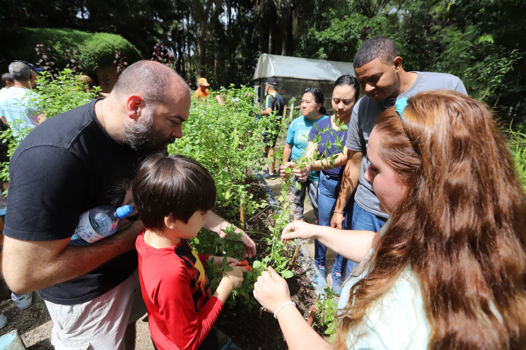 Domingos de natureza! Mês Integrado do Meio Ambiente tem minicursos e oficinas especiais no “Viver o Viveiro”