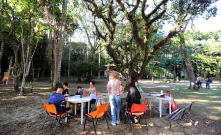 “Viver o Viveiro” tem portões abertos neste domingo (19) em programação com oficinas ecológicas, trilhas e brincadeiras
