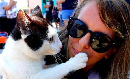 Bem-estar animal: novo mutirão garante castração de quase 200 cães e gatos no Jardim das Indústrias