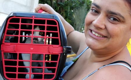 Diretoria de Proteção Animal tem plantão de cadastros para castração de cães e gatos no bairro Pagador Andrade