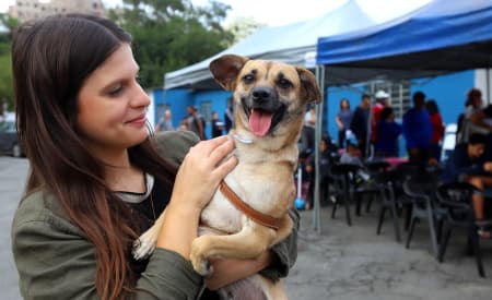 Com ações descentralizadas, Proteção Animal passa de 2.000 castrações de cães e gatos em 2026