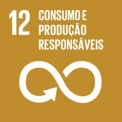 ODS 12